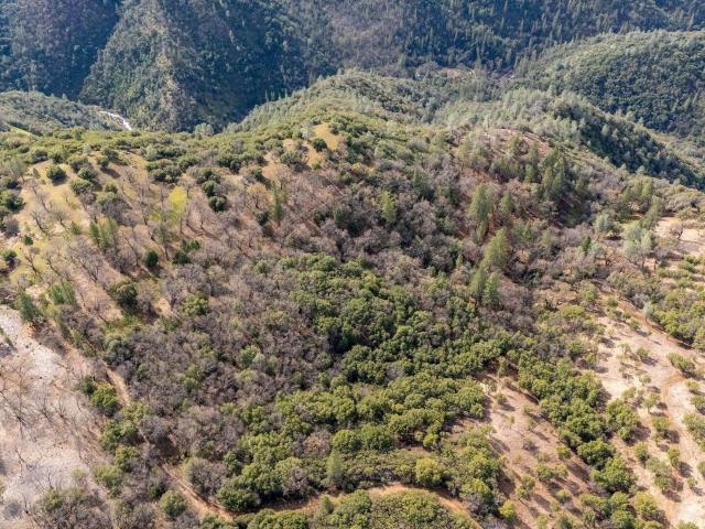 Land for sale in Columbia, California
