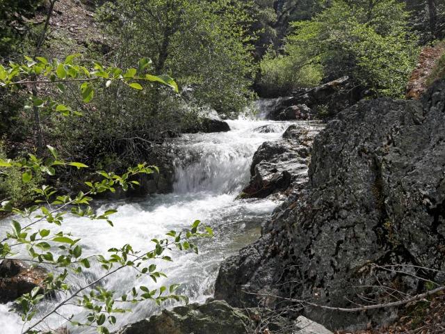 Property for sale in Sierra City, California