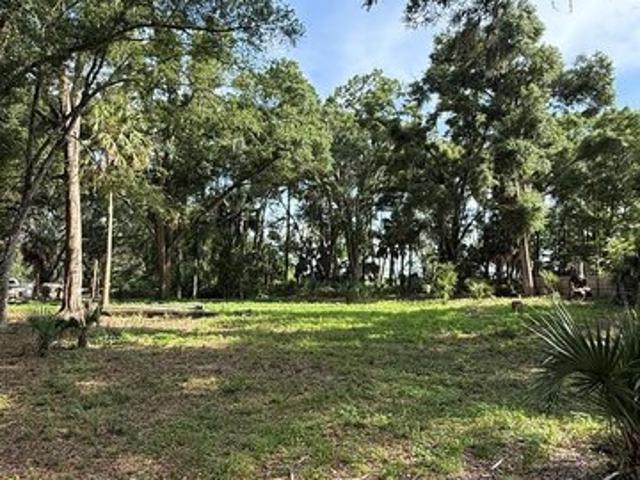 Land for sale in Dixie, Florida