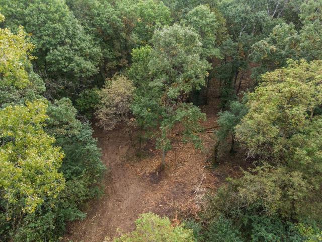 Land for sale in Afton, Minnesota