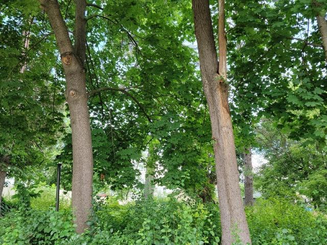 Land for sale in Wauconda, Illinois