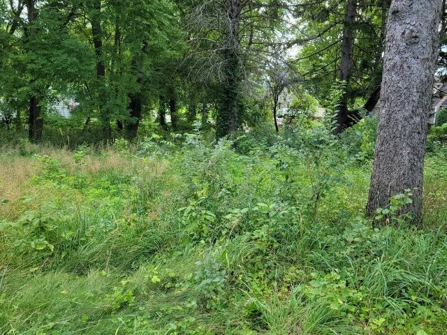 Land for sale in Wauconda, Illinois