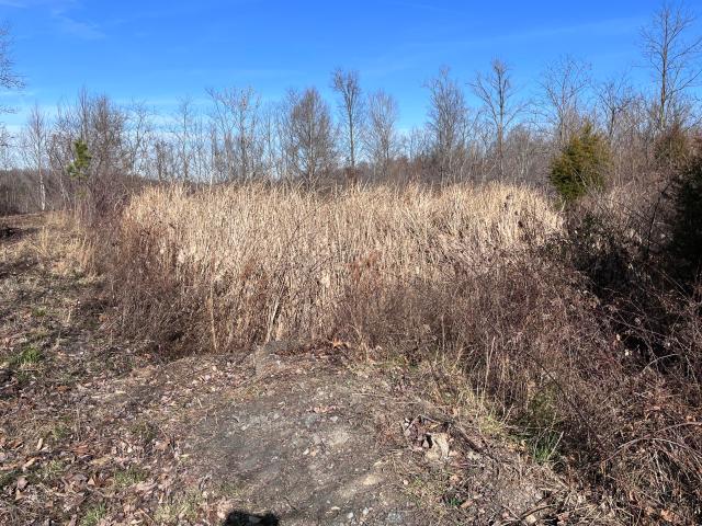 Land for sale in Tyner, Kentucky