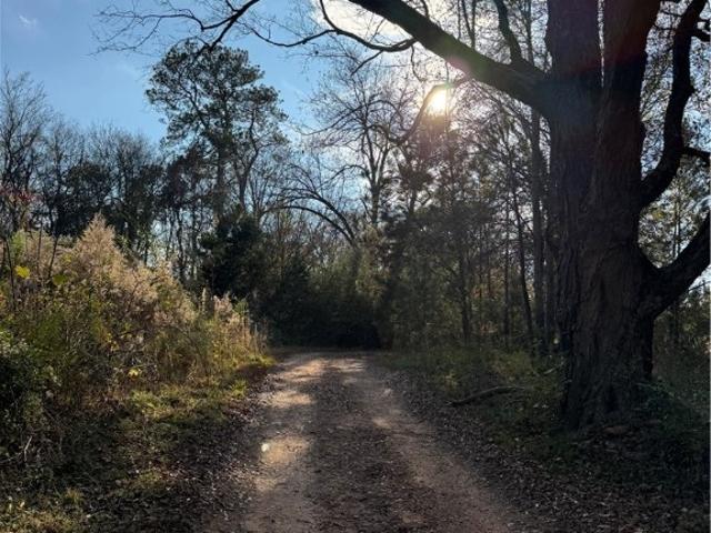 Land for sale in Elbert, Georgia