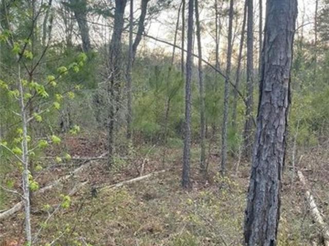 Land for sale in Elberton, Elbert County