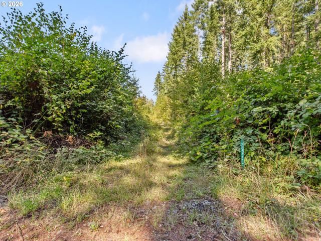 Land for sale in Clackamas County, Oregon