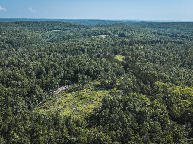 Farm for sale in Norwood, Missouri