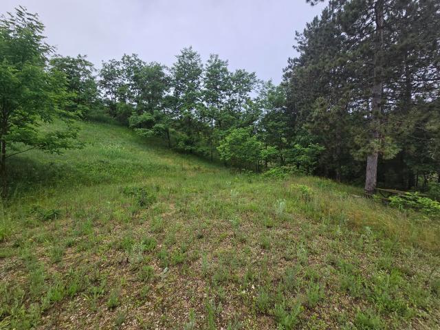 Land for sale in Warrens, Monroe County