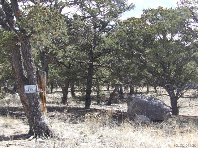 Land for sale in Crestone, Colorado