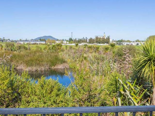 House for sale in Te Awamutu, Waipā District