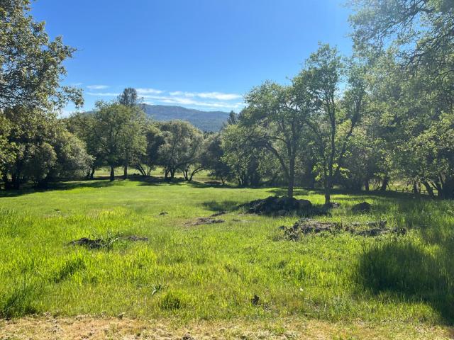 Land for sale in Angels Camp, California