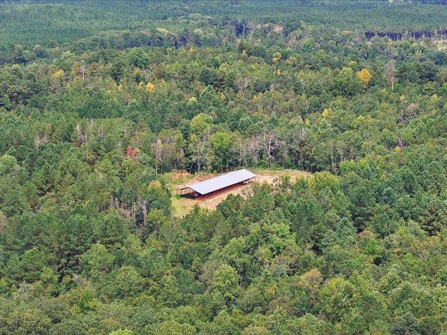 Land for sale in Mendenhall, Mississippi