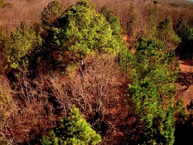 Land for sale in Tennessee