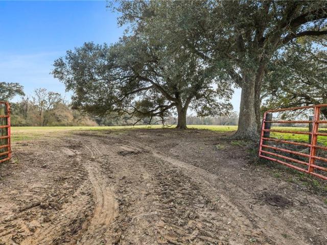 Land for sale in Saint Helena, Louisiana
