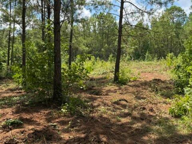 Land for sale in Appling, Georgia