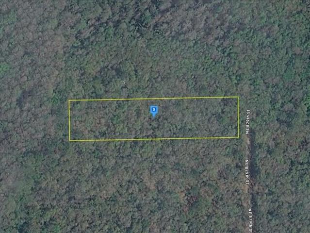 Land for sale in Old Town, Dixie County