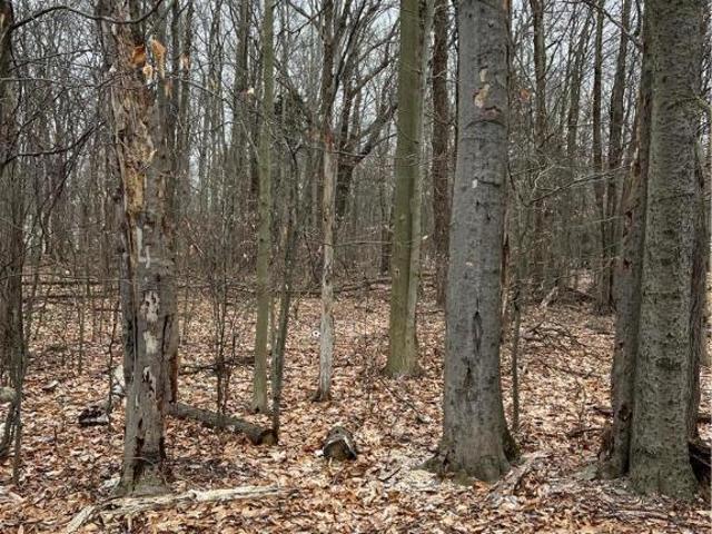 Property for sale in Cresco, Pennsylvania