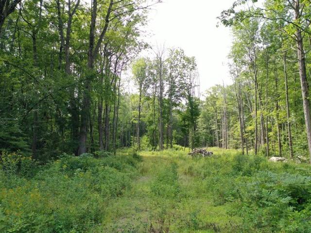 Land for sale in Shapleigh, Maine