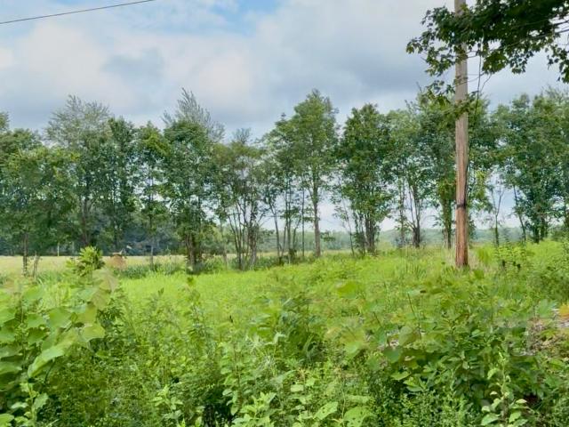 Farm for sale in Tennessee