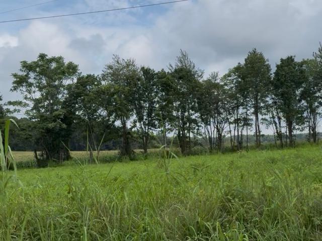 Land for sale in Tennessee