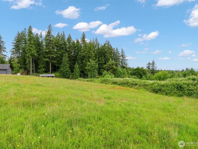 Land for sale in Castle Rock, Washington
