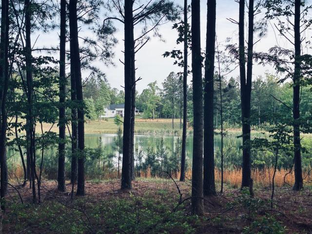 Land for sale in Tennessee