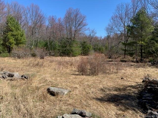 Land for sale in Town of Fallsburg, Sullivan County