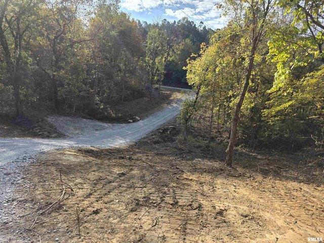 Land for sale in Elizabethtown, Illinois