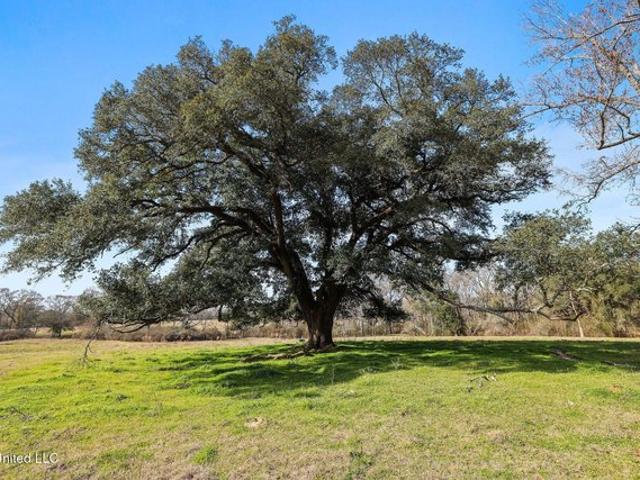 Land for sale in Amite, Louisiana