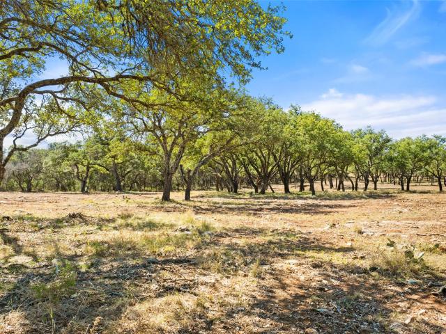 Farm for sale in Blanco, Texas