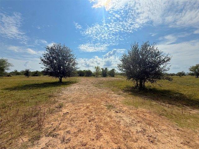 Land for sale in Damon, Texas