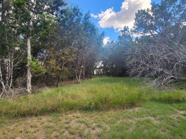 House for sale in Williamson, Texas