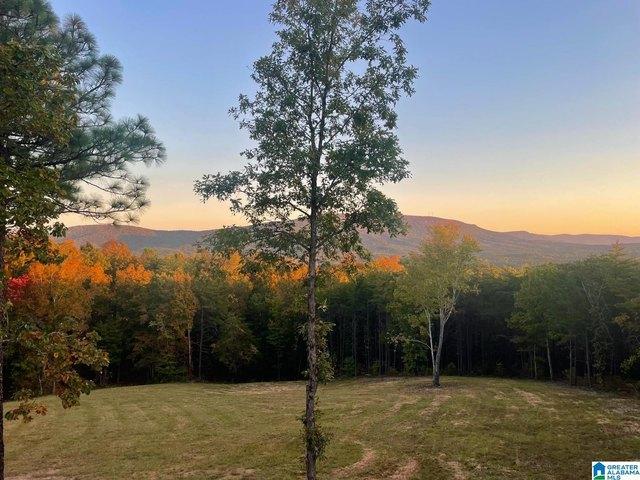 House for sale in Munford, Alabama