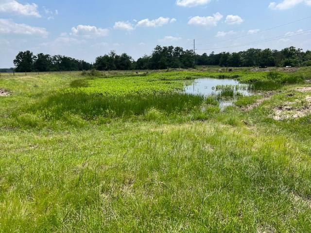 Land for sale in Grimes, Texas