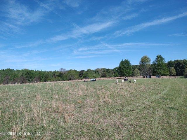 Land for sale in Utica, Mississippi