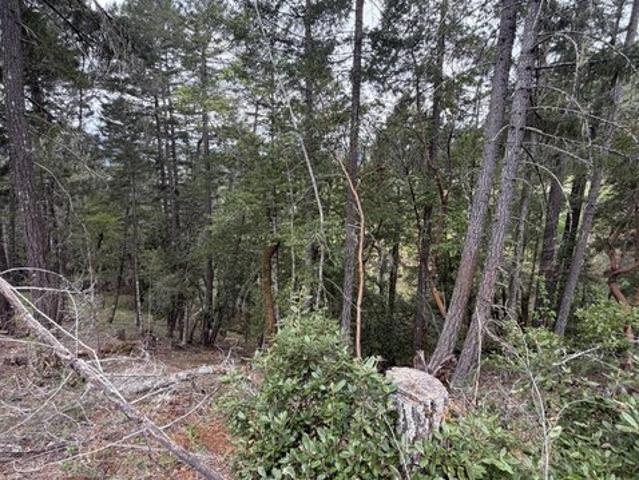 Land for sale in Willits, California