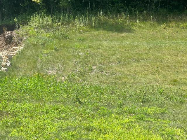 Land for sale in Lake City, Minnesota