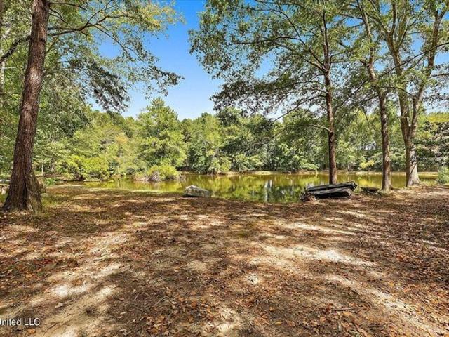 House for sale in Raleigh, Mississippi