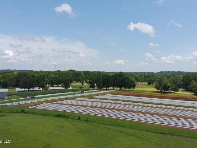 Land for sale in Flora, Mississippi