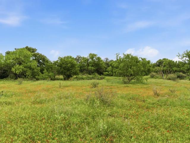 Land for sale in Moran, Texas