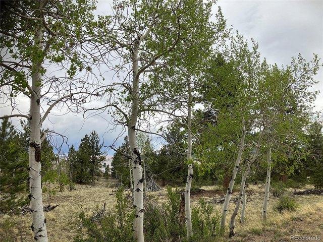 Land for sale in Hartsel, Colorado