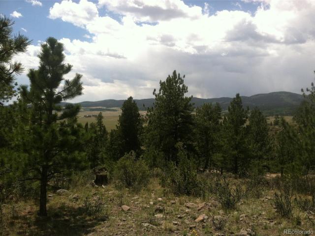 Land for sale in Hartsel, Colorado