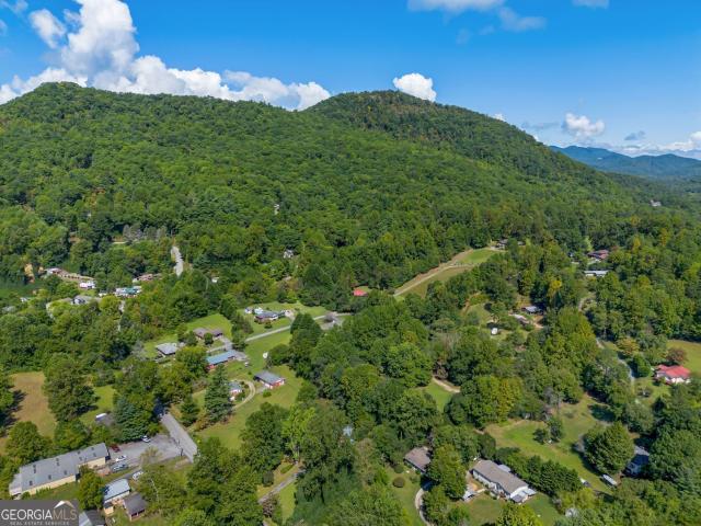 House for sale in Mountain City, Georgia