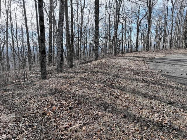 Land for sale in Gilmer, Georgia