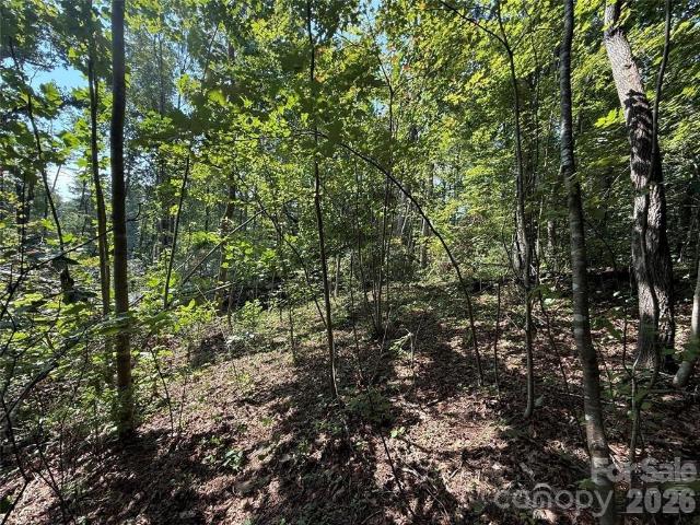 Land for sale in Hendersonville, North Carolina