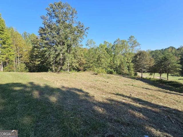 Land for sale in Toccoa, Georgia