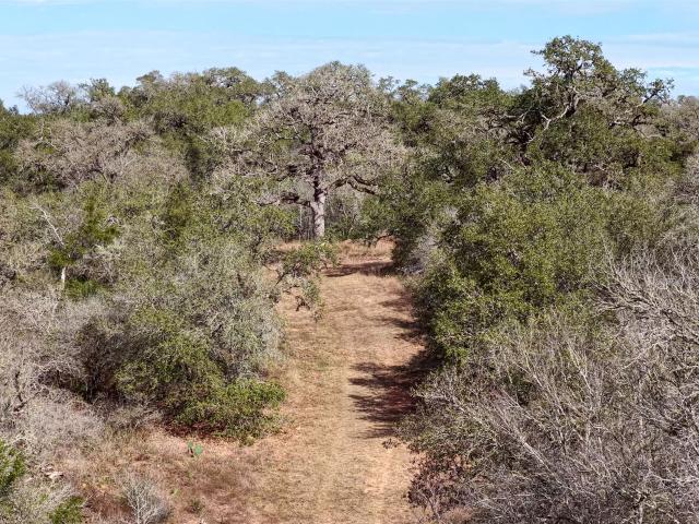 Land for sale in Smithville, Texas