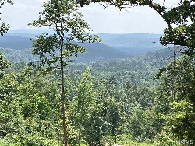 Land for sale in Fredericktown, Missouri