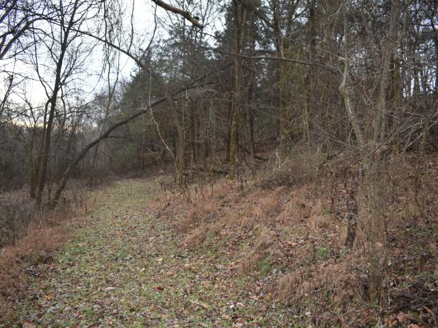 Farm for sale in Tennessee