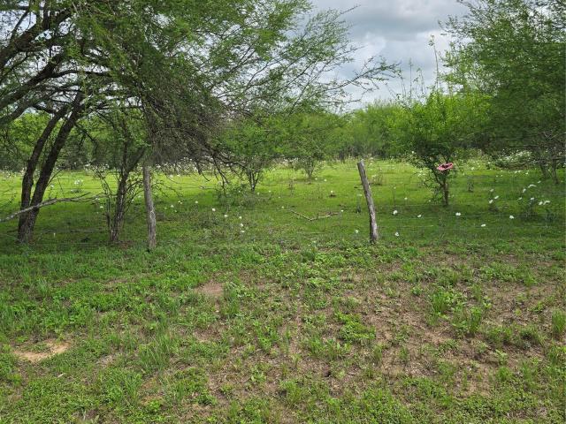 Land for sale in San Felipe, Texas